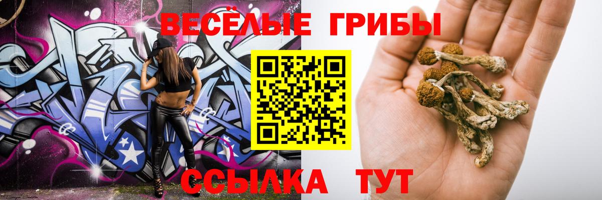 Алексин  Галлюциногенные грибы прущие грибы  Вход с VPN 