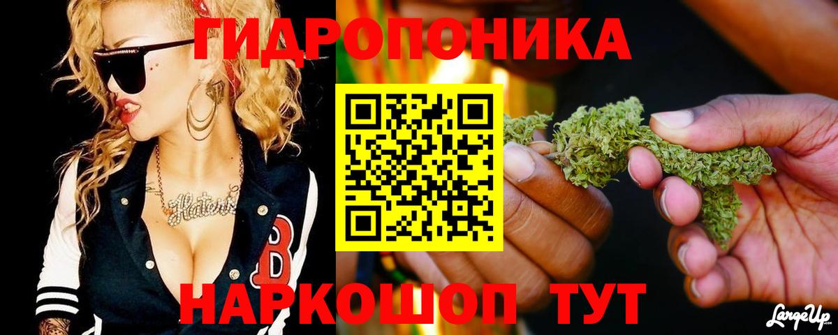 Бошки марихуана гибрид Алексин